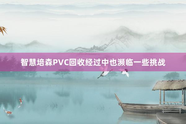 智慧培森PVC回收经过中也濒临一些挑战