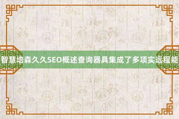 智慧培森久久SEO概述查询器具集成了多项实远程能