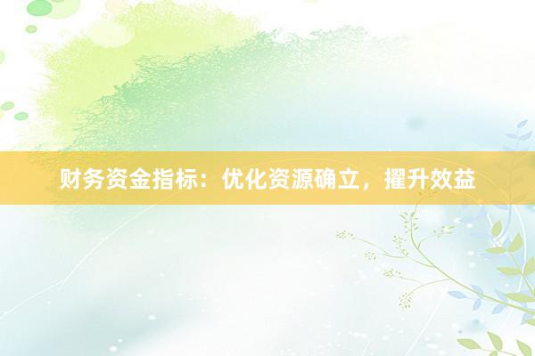 财务资金指标：优化资源确立，擢升效益
