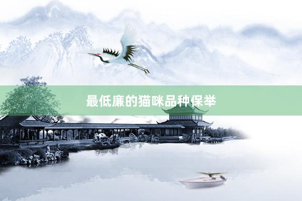 最低廉的猫咪品种保举